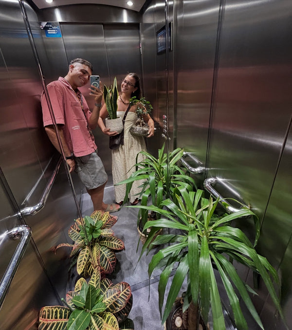 Couple posing in an elevator with plants